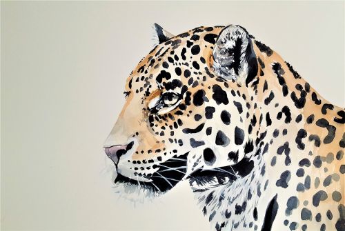 leopard cat beast