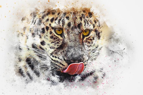 leopard  animal  art