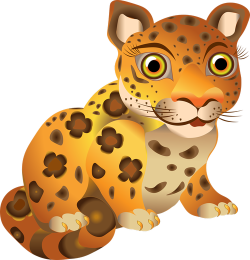 leopard  kitten  wild