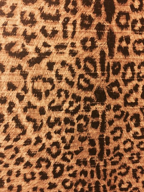 leopard print animal print backdrop
