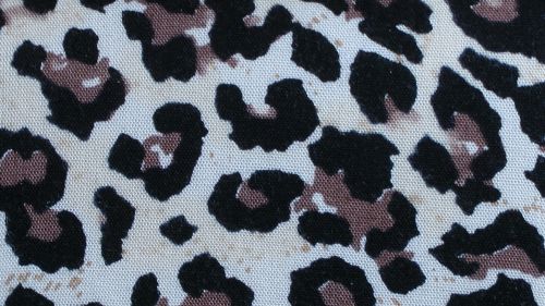 Leopard Skin Fabric