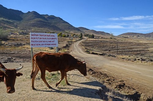 lesotho  road  sign