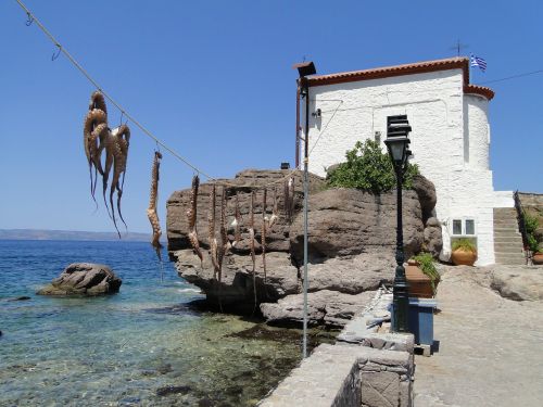 lesvos octopus church