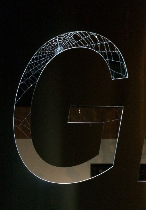 letter cobweb at night