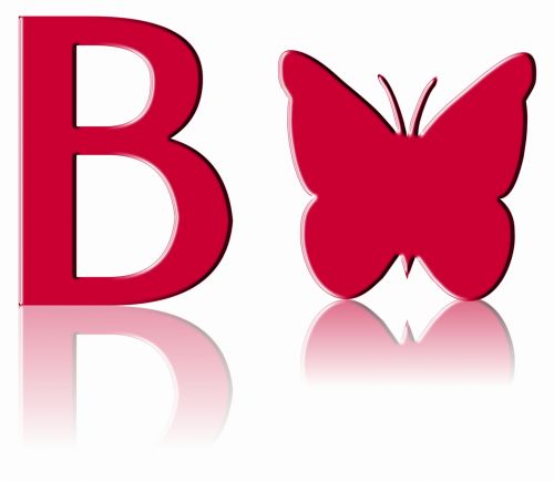 Letter B Of Butterfly