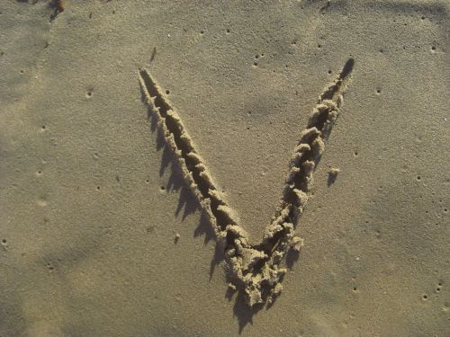 letter v sand stick