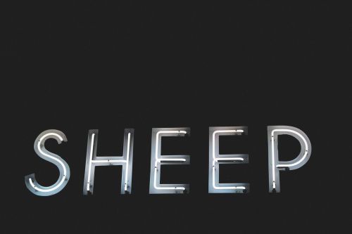letters font sheep