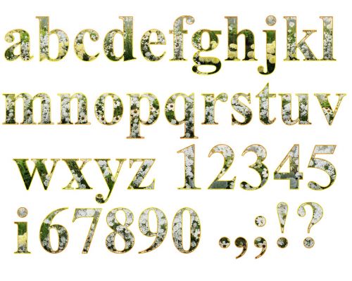 letters alphabet set