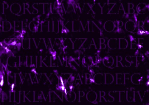 Letters Dark Purple