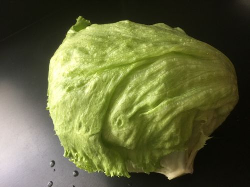 lettuce vegetable salad