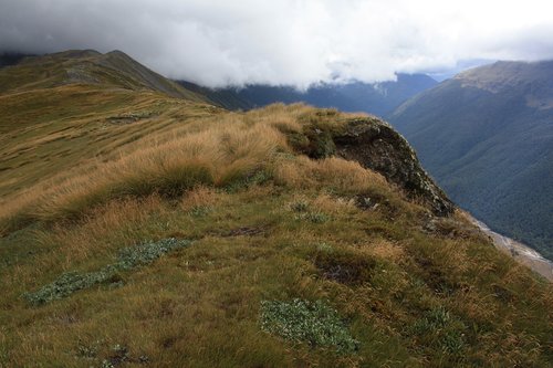 lewis pass  nz  alpine