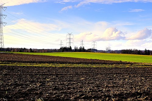 leżno  field  poles