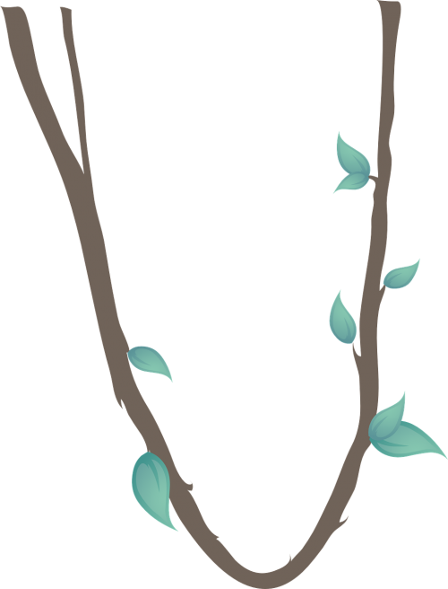 liana leafs plant