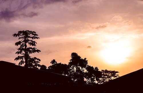 libreville  sunrise  papaya