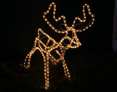 lichterkette reindeer christmas