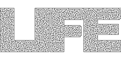 life maze uncertainty