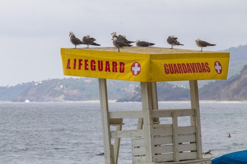 life guard  seagulls  beach