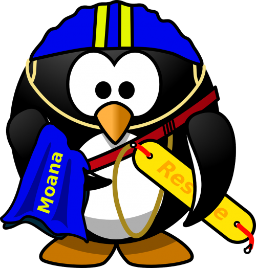 lifesaver penguin surf