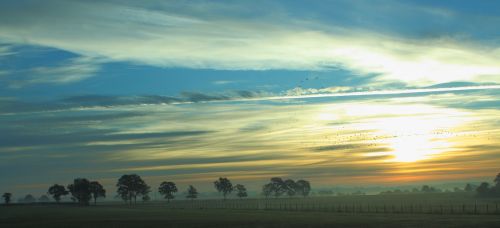 landscape sunrise trees