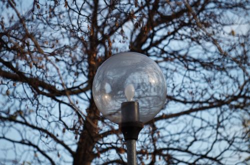 light lamp tree