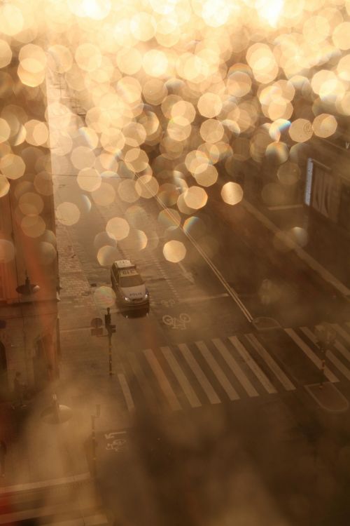 light pedestrian crossing city
