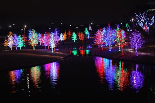 light tree christmas