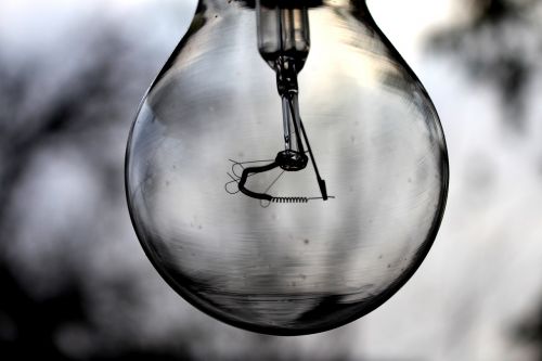 light bulb light bulb
