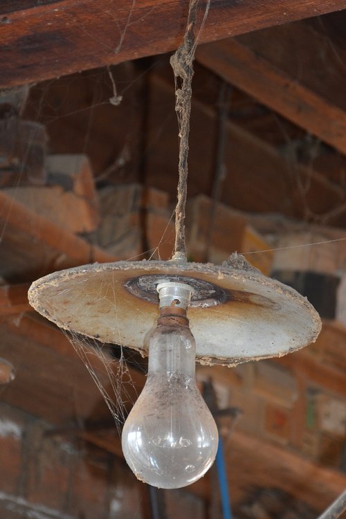 light  bulb  spider web