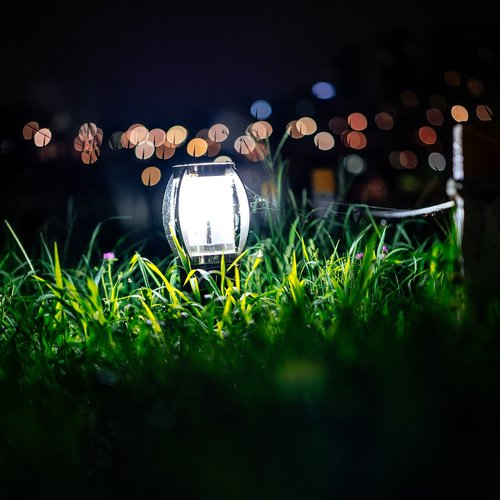 light  grass  night