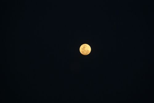 light moon night