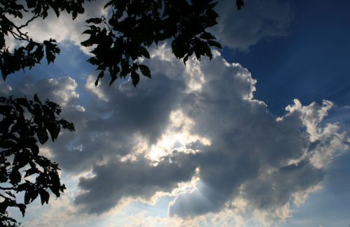 Light And Dark Clouds With Foliage