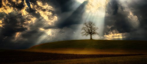 light beam  clouds  tree