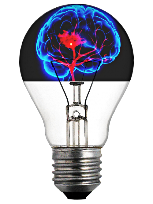 light bulb brain absorbed light