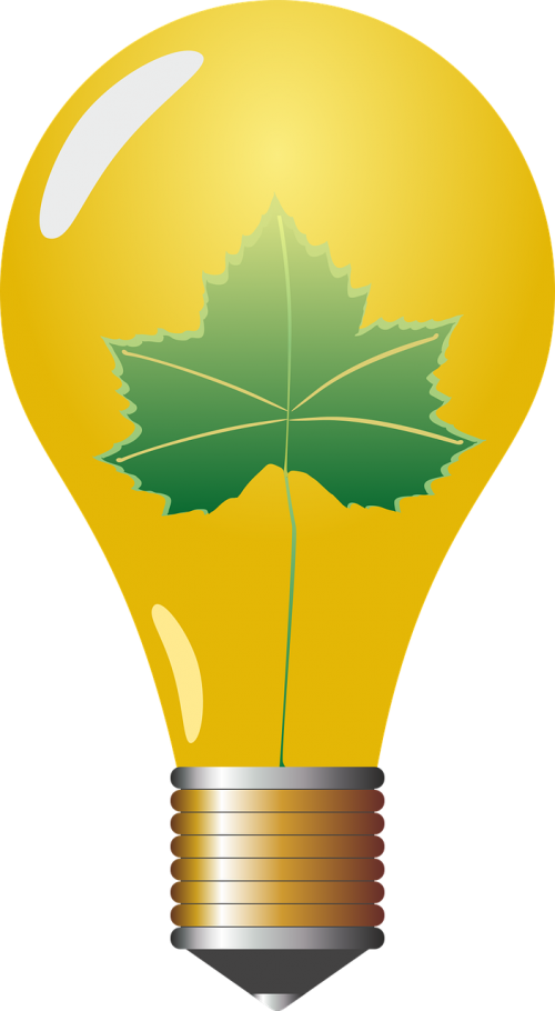 light bulb pear lamp