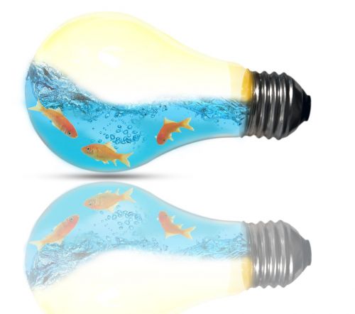 light bulb creativity imagination