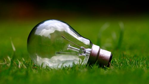 light bulb grass bulb