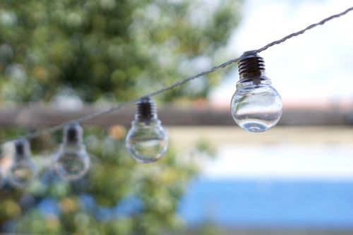 light bulbs hanging lights