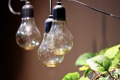 light bulbs  green  interior