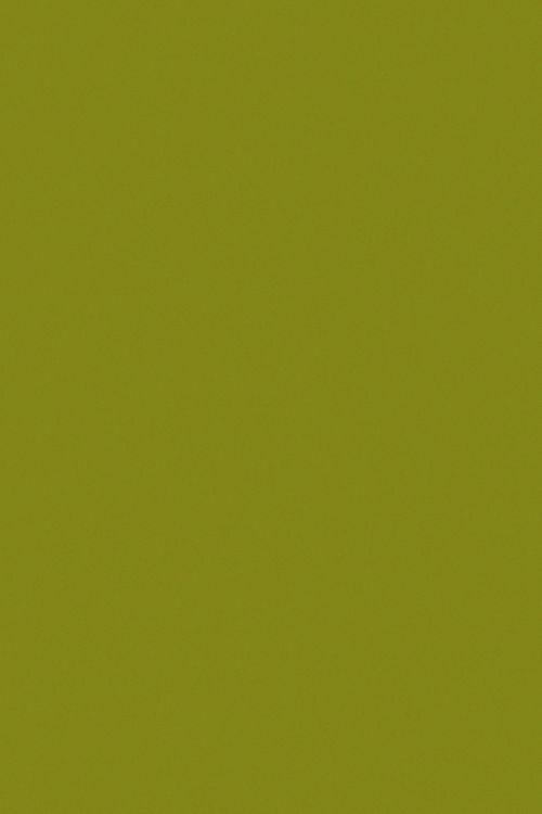 Light Olive Background