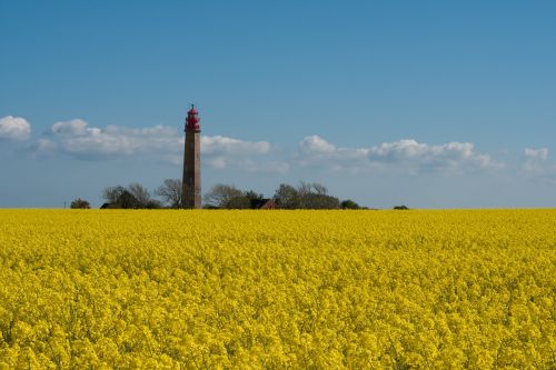 lighthouse yellow blue