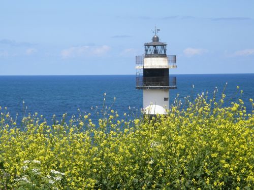 lighthouse flowers galicia