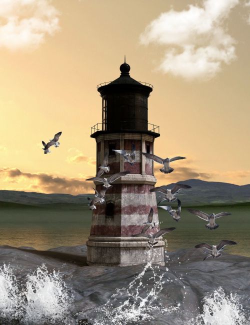 lighthouse gulls water