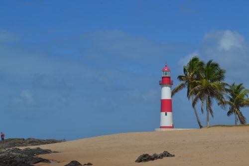 lighthouse beach coconut trees