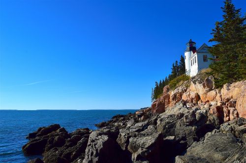 lighthouse rocks trees