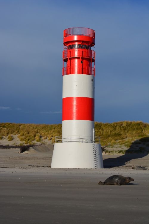 lighthouse seal beach