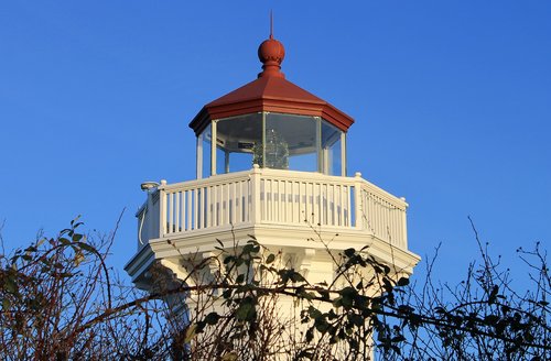 lighthouse  sky  vines