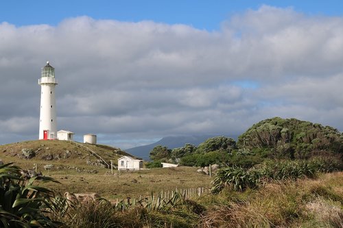 lighthouse  farm  hill