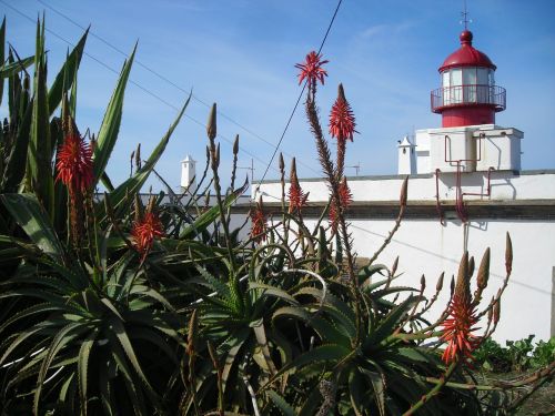 lighthouse madeira west coast