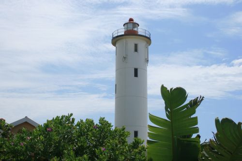 Lighthouse With Palm