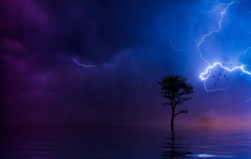 lightning  tree  silhouette